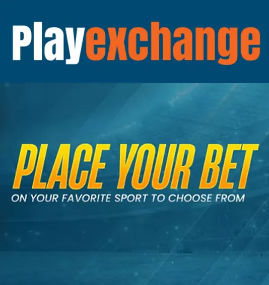 images/Exchangers/playexch.webp